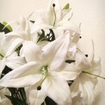 リング葬百合の花束