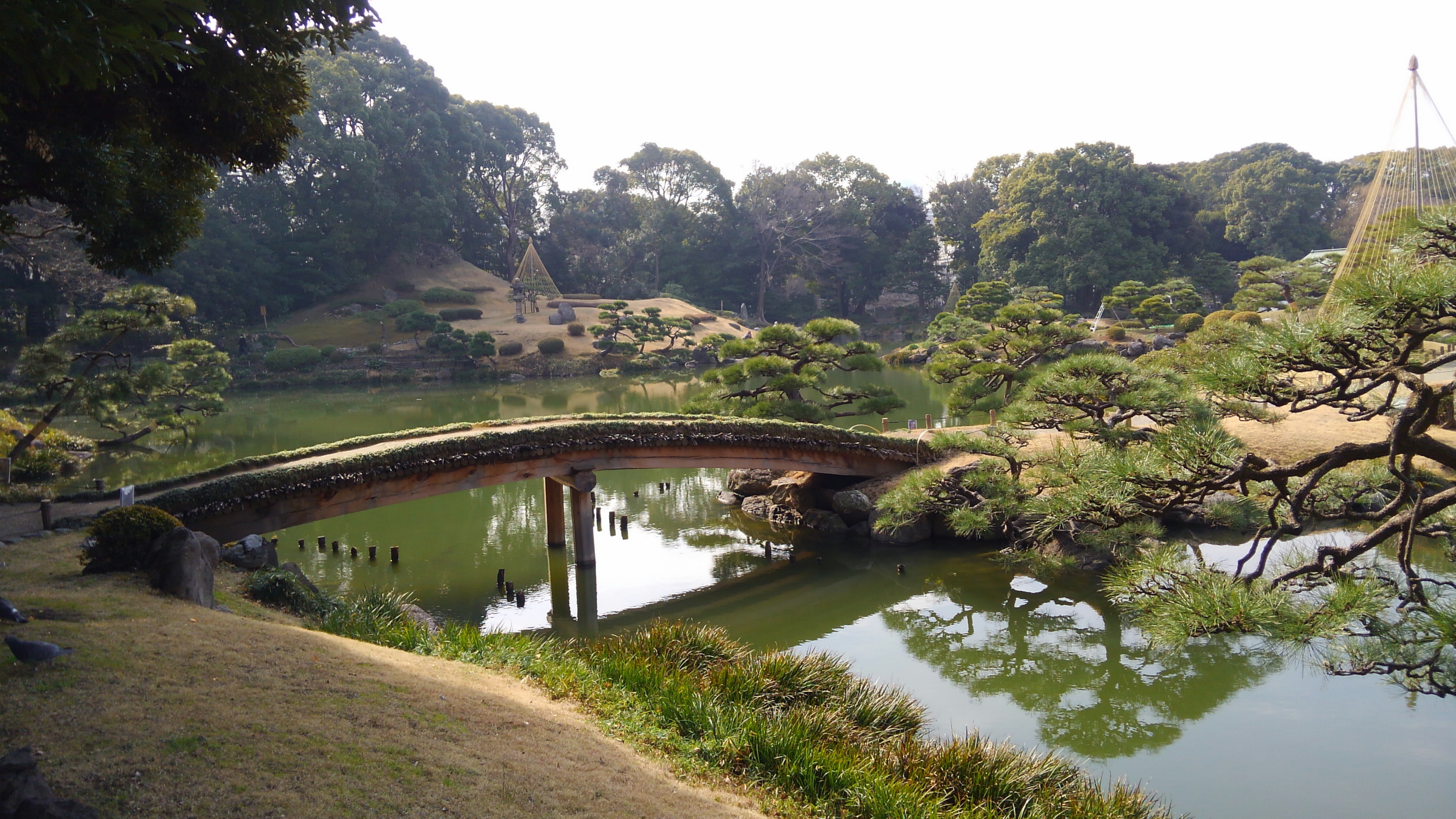 清澄庭園 中ノ島へ渡る橋 